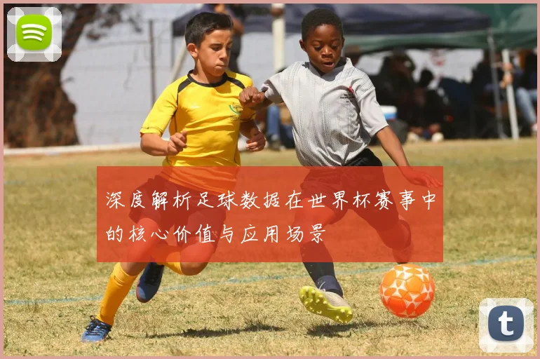 深度解析足球数据在世界杯赛事中的核心价值与应用场景