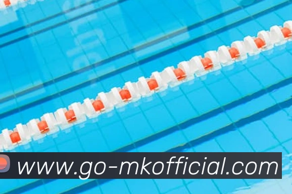 MK体育2026入口全站App MK体育2026入口全站App